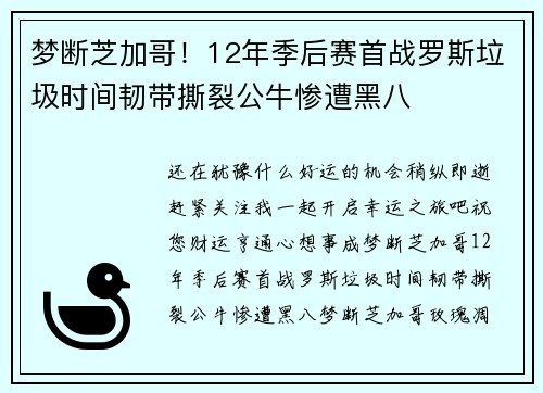 梦断芝加哥！12年季后赛首战罗斯垃圾时间韧带撕裂公牛惨遭黑八